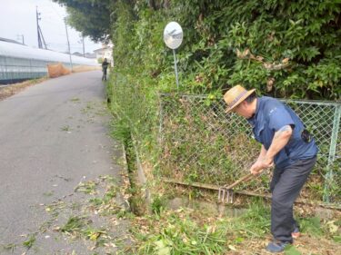 【行事報告】大教会総出ひのきしん（7/6）