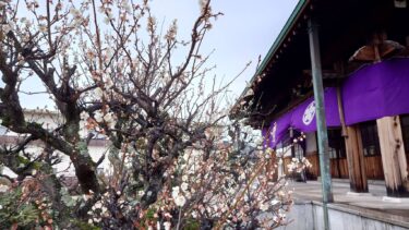 【行事報告】２月月次祭