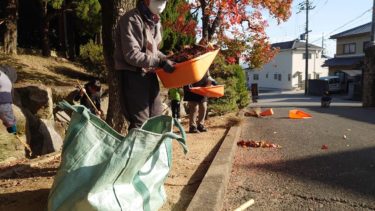 【大教会-行事報告】大教会総出ひのきしん（11/15）