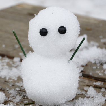 【イベント】フォト募集「⛄️冬の一枚⛄️」 結果発表part.1