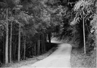 【上之郷のあゆみ】23．妻こまの身上