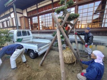 【みんなの掲示板】槇の木植替え