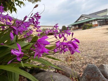 【みんなの掲示板】大教会の風景