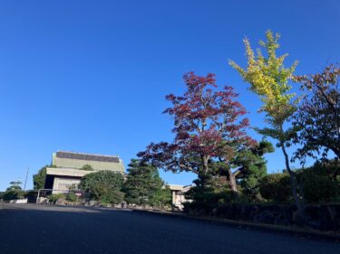 【みんなの掲示板】大教会の風景