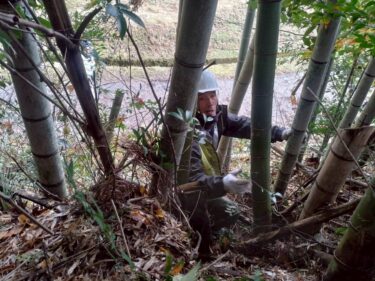 【みんなの掲示板】大教会の風景