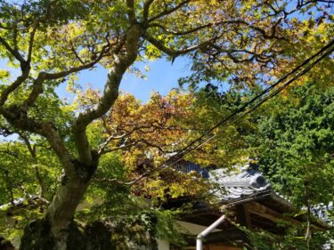 【みんなの掲示板】教会便り.元之郷分教会1