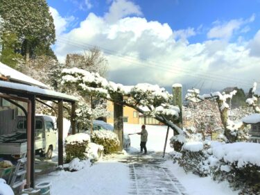 【みんなの掲示板】目覚めると銀世界