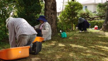【行事報告】大教会総出ひのきしん（9/17）