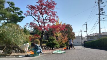 【お知らせ】12月1日(日)総出ひのきしん