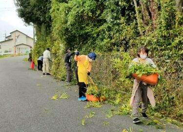 【行事報告】大教会総出ひのきしん（11/13）