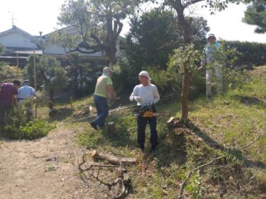 【行事報告】大教会総出ひのきしん（8/31）